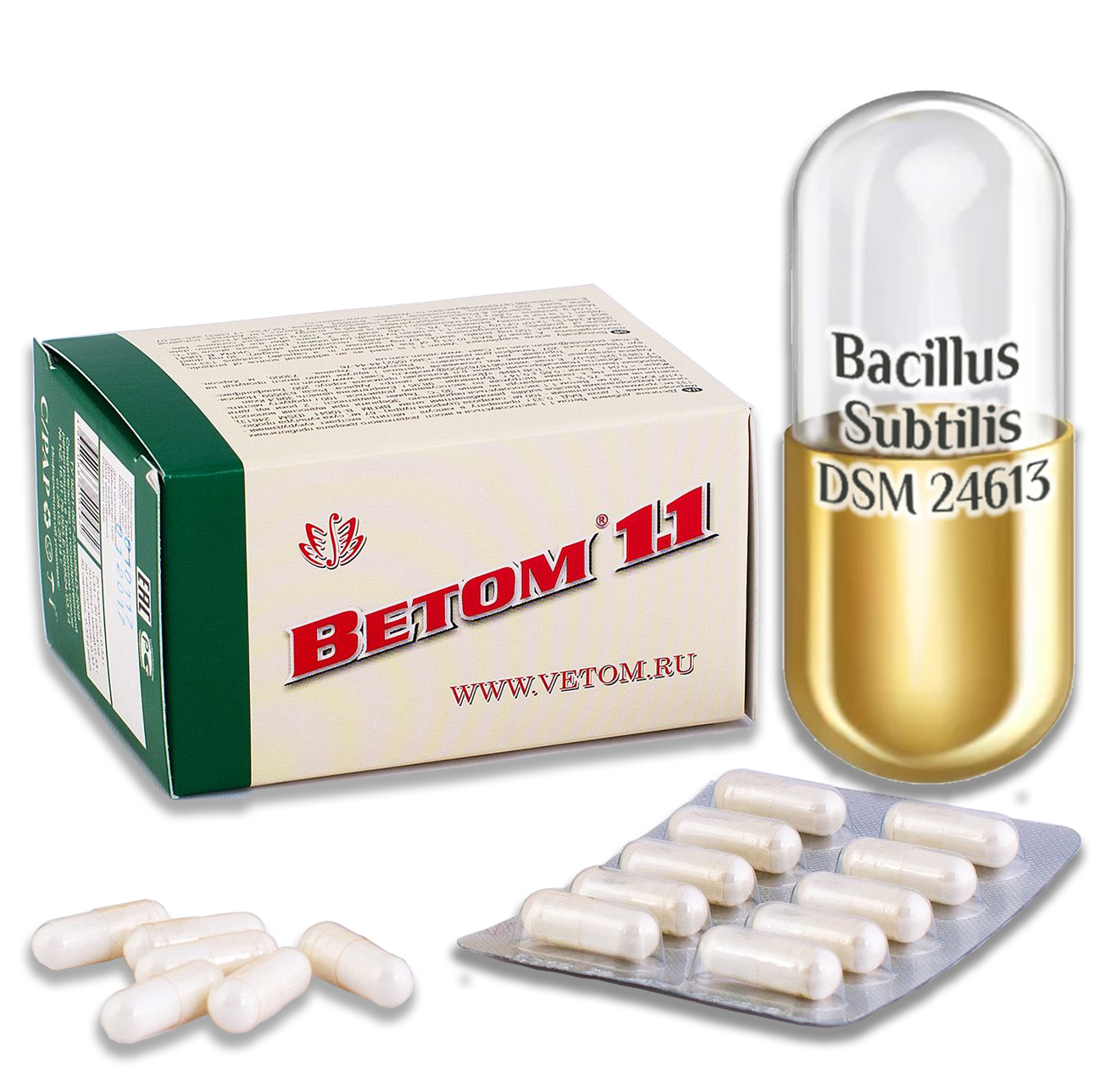 Probiotikum Vetom 1.1  kapszula 50 szemes (étrend-kiegészitő)